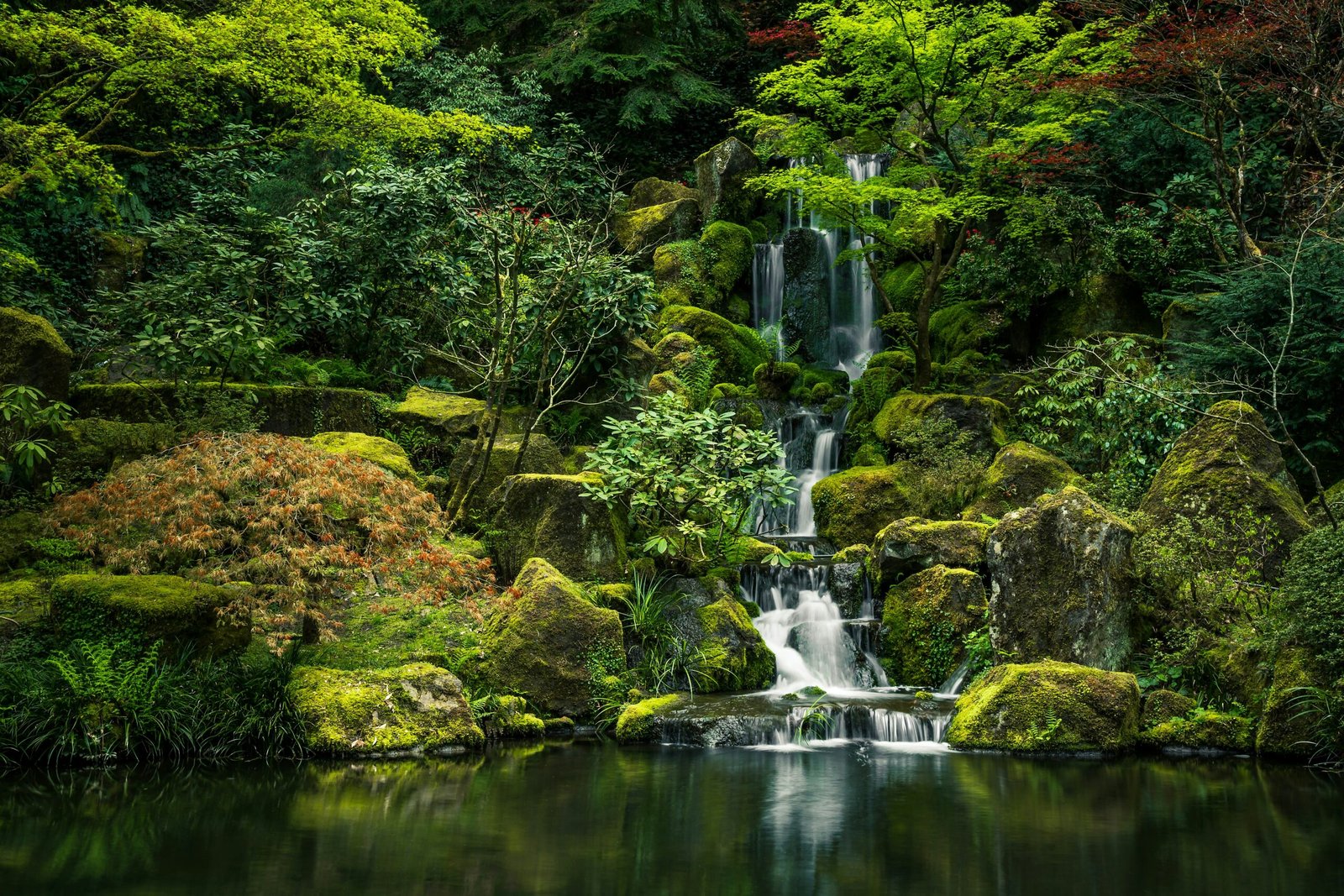 New York Times Names Oregon Garden As One of the Most Serene in the U.S.