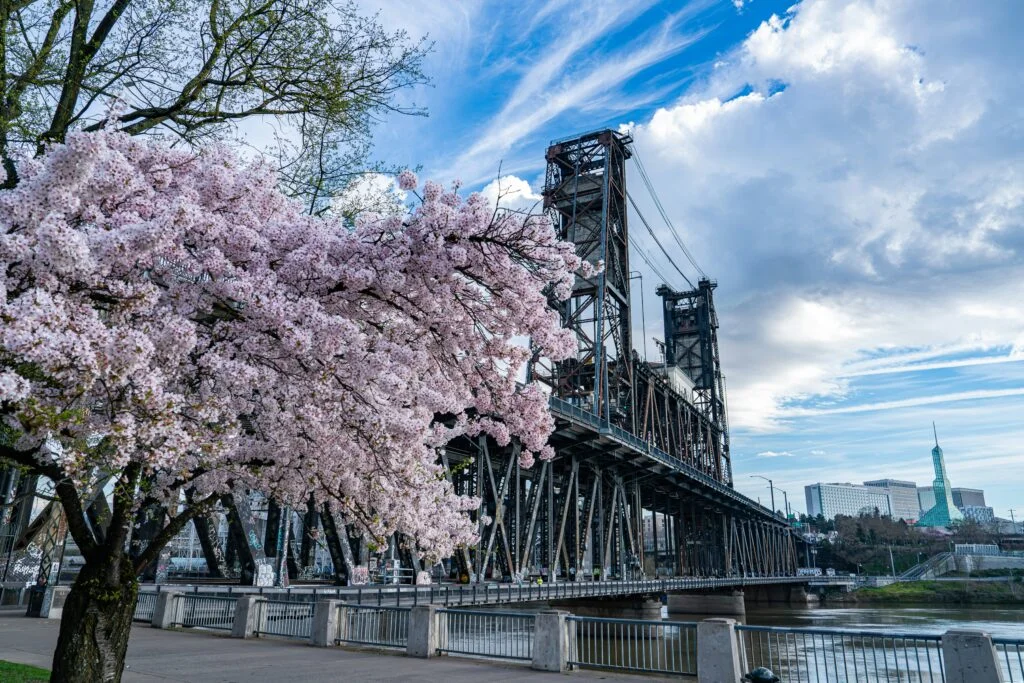 Portland ranks as one of the worst cities for allergies