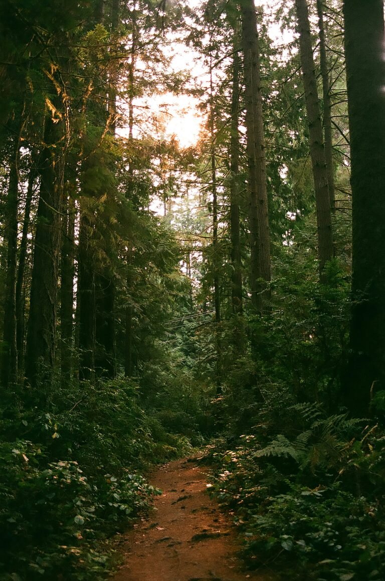 Seattle Times highlights 7 hikes to take on some of Washington’s most iconic islands