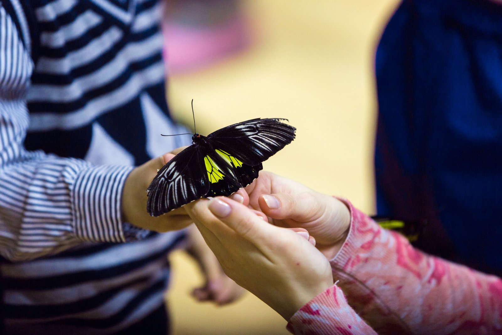 This popular Seattle destination is packed with things for kids and families to do