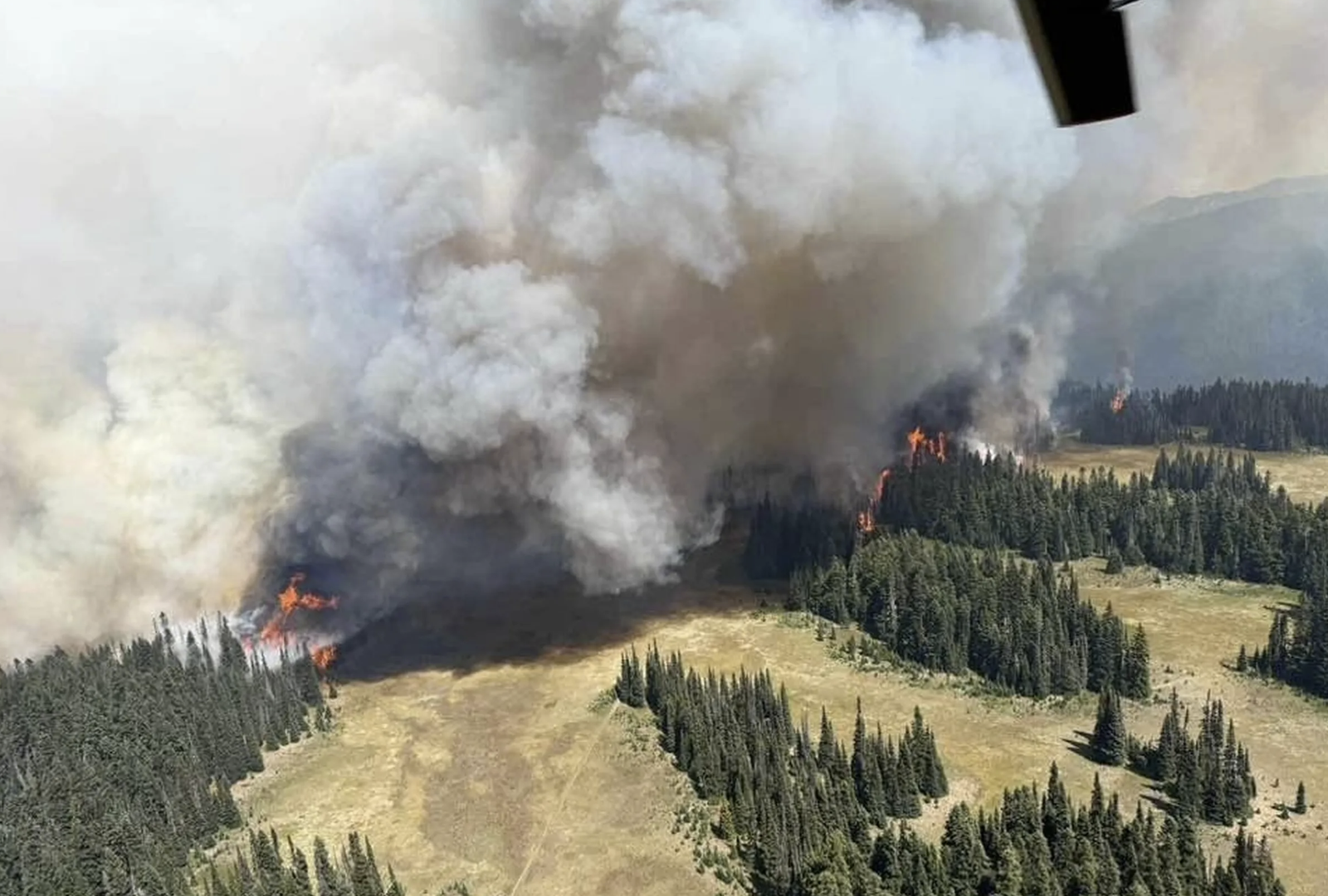 Wildfire Closes Sunrise and White River Areas at Mount Rainier National Park