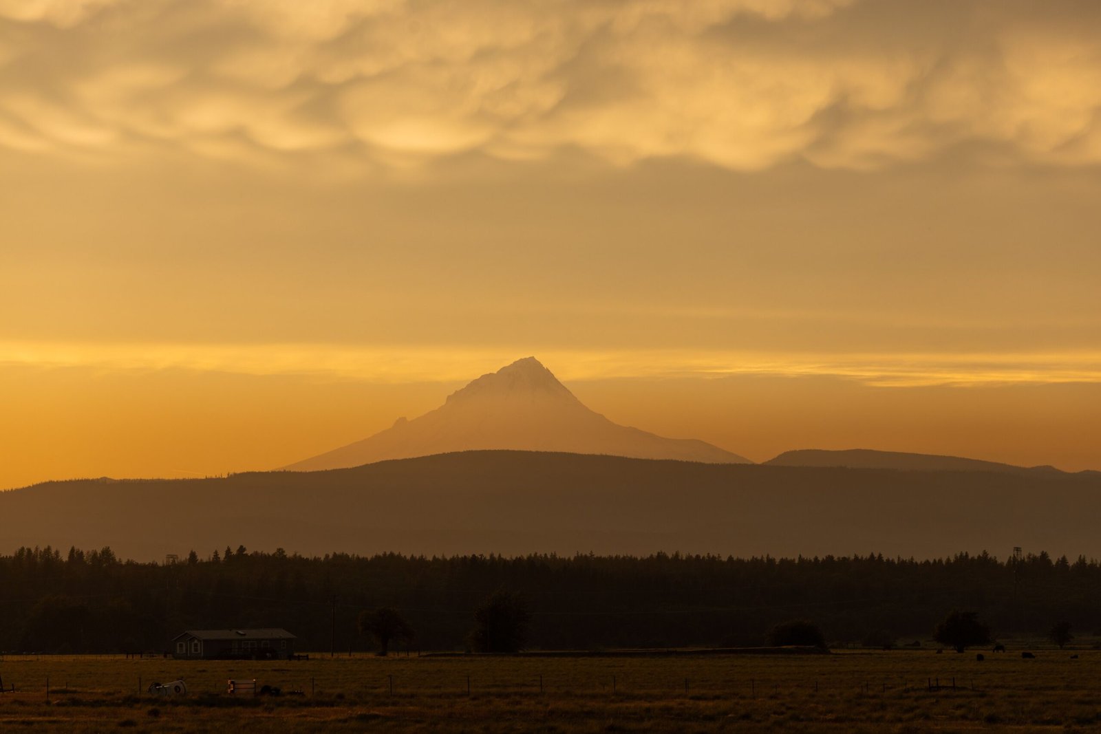 Grasshopper fire grows to more than 72,000 acres as Highway 35 closes near Mount Hood