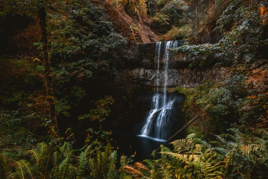 Reader’s Digest names the best state parks in Oregon and Washington