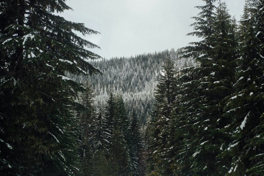 Farmers’ Almanac releases Winter 2026-27 weather predictions for the Pacific Northwest