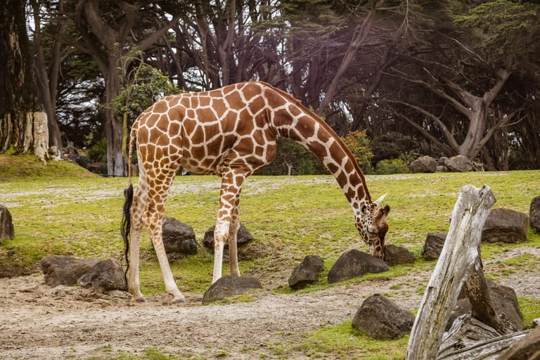 National Geographic said these are the 8 best things to do in Seattle with kids: See the list