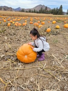 Central Oregon pumpkin patches to visit this fall in 2026