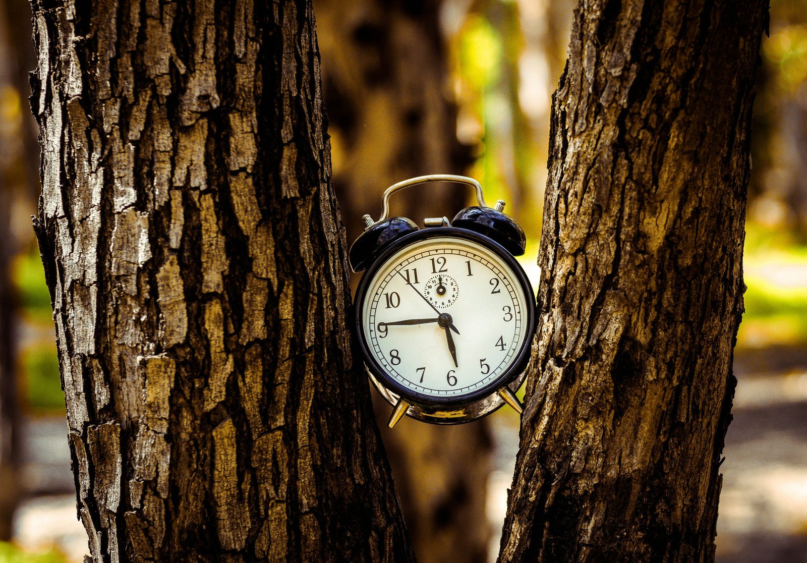 Daylight saving time ends Halloween weekend: When to set clocks back in 2026