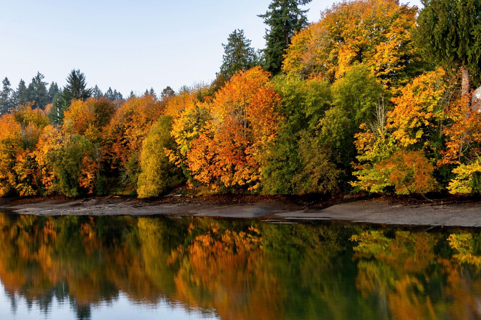 When is the first day of Fall 2026? What the Equinox means in the Pacific Northwest