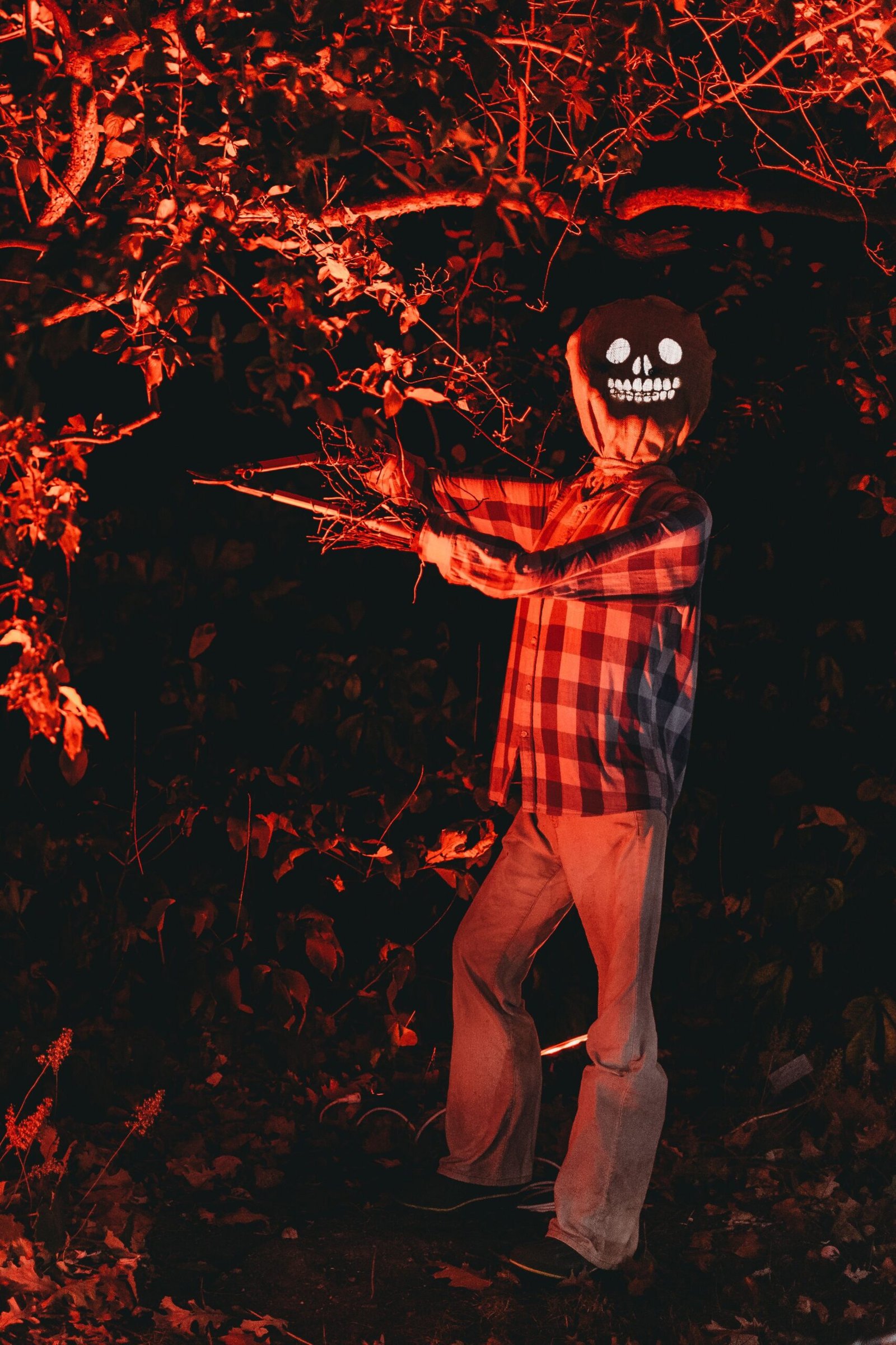 Oregon Coast Haunted Houses: See 9 Halloween events, haunted attractions to visit in 2026