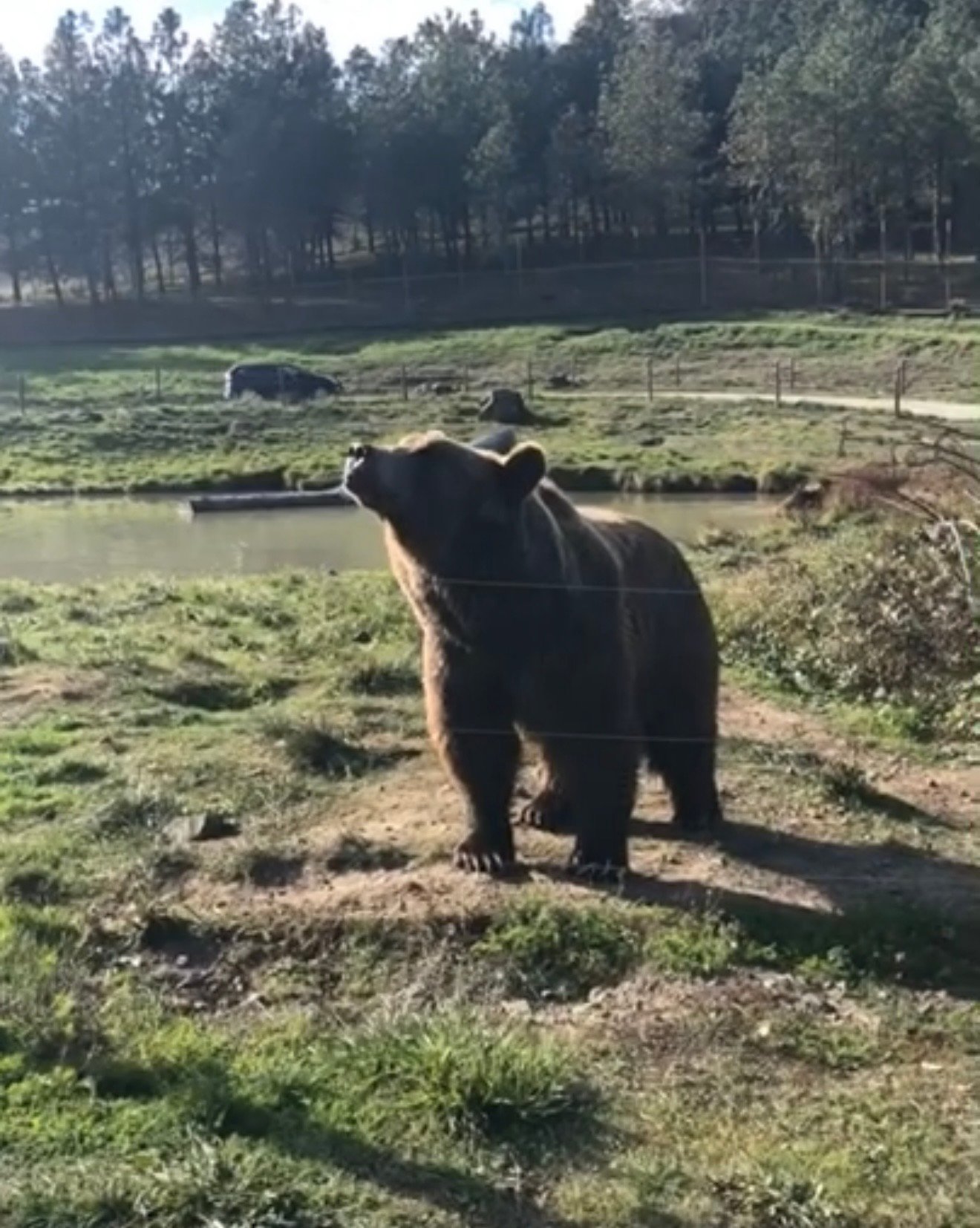 Wildlife Safari in Oregon denied zoo accreditation after 40 years