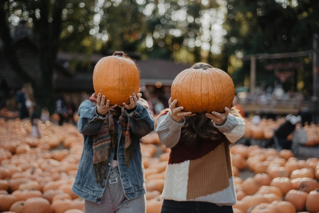 See 11 Washington State Pumpkin Patches to visit in 2026